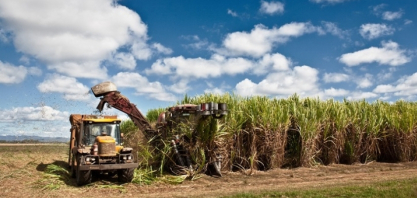 Produção de açúcar de El Salvador deve crescer em 2026/27, com estabilidade climática e foco nas exportações