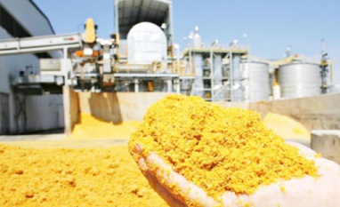 MT lidera 70% do mercado brasileiro em etanol de milho