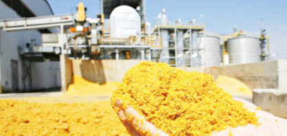 MT lidera 70% do mercado brasileiro em etanol de milho