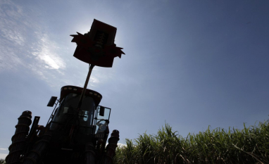 Produção de etanol do Brasil deve saltar 14,6% em 2026/27, prevê Datagro