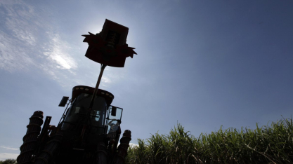 Produção de etanol do Brasil deve saltar 14,6% em 2026/27, prevê Datagro