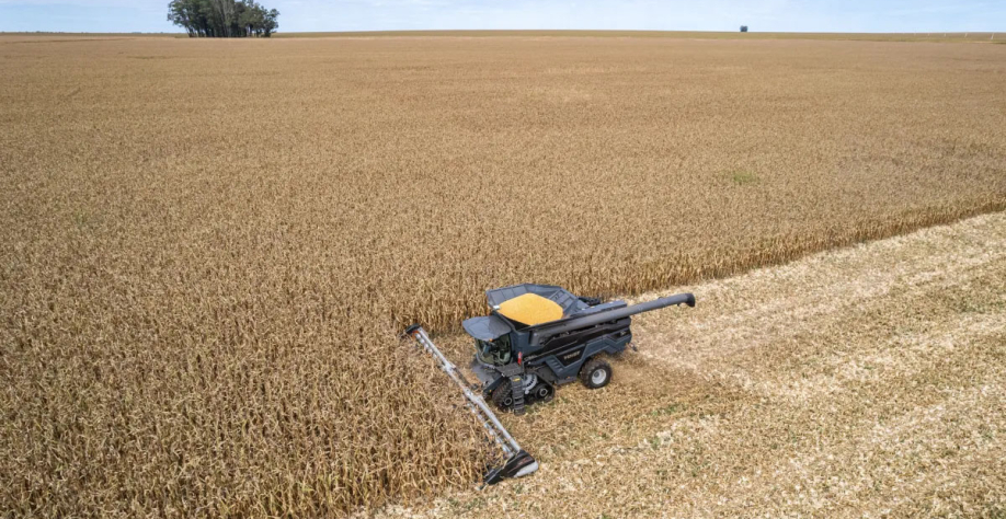 O milho, principal grão exportado para o Irã, acumulou queda de 99,96% nas exportações. Divulgação