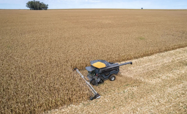 Produção de DDG deve superar 15 milhões de toneladas até 2030