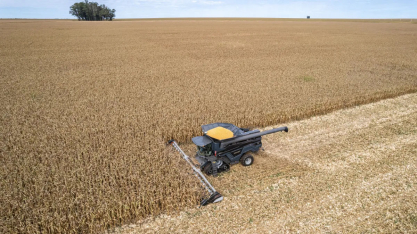 Produção de DDG deve superar 15 milhões de toneladas até 2030