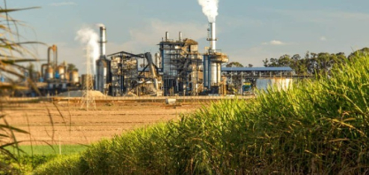 Rabobank aponta impactos da geopolítica no mercado de cana, açúcar e etanol no AgroInfo Q1 2026