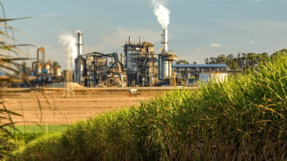 Rabobank aponta impactos da geopolítica no mercado de cana, açúcar e etanol no AgroInfo Q1 2026