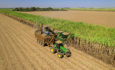 Safra mais cedo, investimentos e foco em eficiência marcam planejamento da Usina Caeté – Unidade Paulicéia