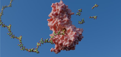 CNPEM identifica mecanismo enzimático com potencial na bioenergia