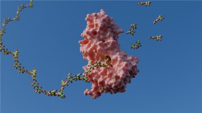 CNPEM identifica mecanismo enzimático com potencial na bioenergia