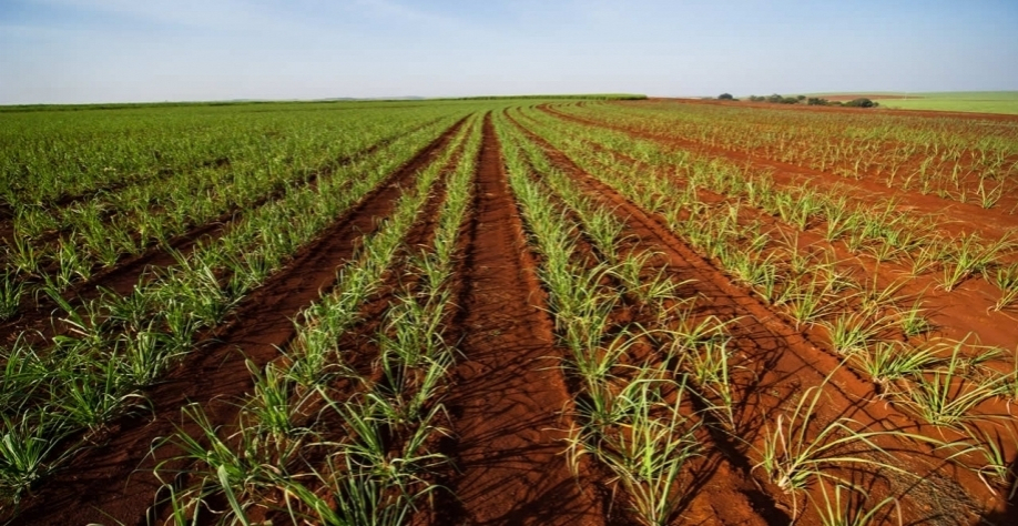 Foto: Arquivo CanaOnline