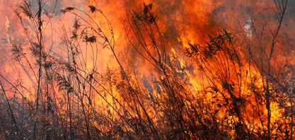 Campanha #ZeroIncêndios 2026 será lançada durante o Fórum UDOP Safra Segura