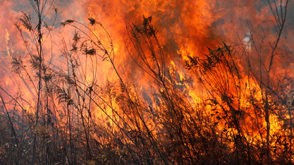 Campanha #ZeroIncêndios 2026 será lançada durante o Fórum UDOP Safra Segura