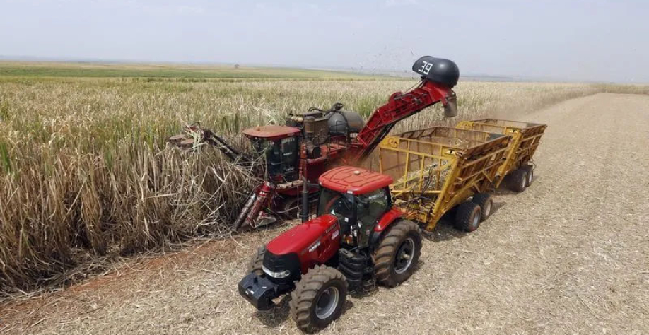 Cana-de-açúcar é colhida em uma plantação da Da Mata, a processadora de cana-de-açúcar brasileira, em Valparaíso  • Cana-de-açúcar é colhida em uma plantação da Da Mata, a processadora brasileira de cana-de-açúcar, em Valparaíso, a 355 milhas a noroeste d