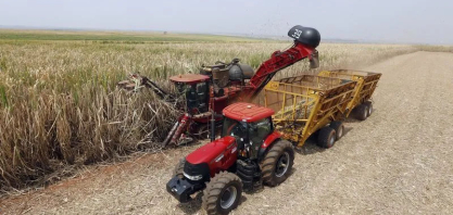 Safra recorde de etanol deve reduzir prêmios do anidro