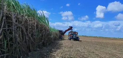 Safra de cana em AL cresce 0,7%, com mais etanol e menos açúcar