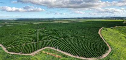 Gotejamento ajuda produtor a frear alta de custos em meio à guerra no Oriente Médio