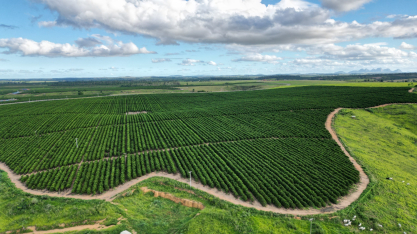 Gotejamento ajuda produtor a frear alta de custos em meio à guerra no Oriente Médio