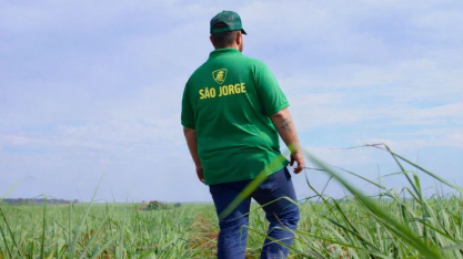 As práticas da São Jorge Agronegócios para manter o canavial no limpo