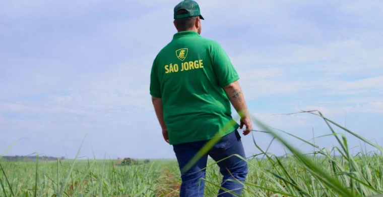 As práticas da São Jorge Agronegócios para manter o canavial no limpo