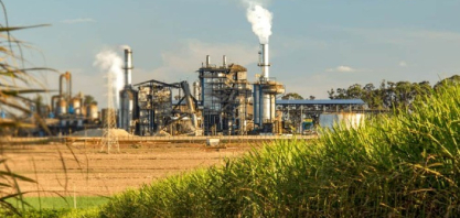 Moagem de cana recua no Norte e Nordeste e produção de açúcar cai mais de 13% na safra 2025/26