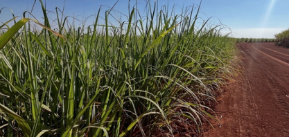 Conab estima safra de cana em 673,2 mi t no Brasil