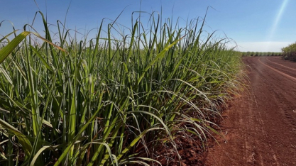 Conab estima safra de cana em 673,2 mi t no Brasil