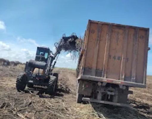 Segundo Asplana, cana esmagada que resultou em uma safra de crescimento foi das próprias usinas, de acionistas e de compra externa - Foto: Edivaldo Junior