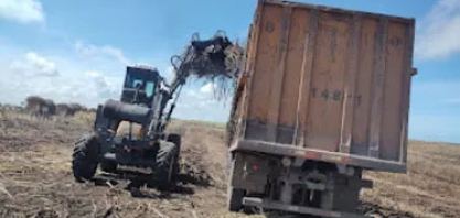 Apesar da safra de crescimento, fornecedores amargam queda na produção em Alagoas