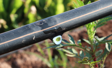 Sem água, sem previsibilidade: irrigação por gotejamento ganha status de estratégia e Netafim lidera debate na Agrishow 2026