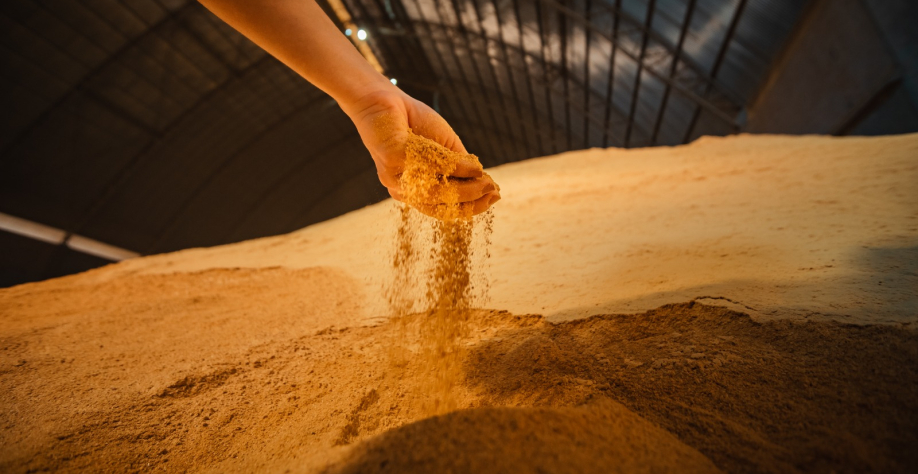 São Martinho apresenta soluções em nutrição animal para a pecuária durante o Encontro de Confinamento e Recriadores (ECR) 2026 Divulgação