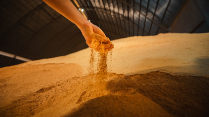 São Martinho apresenta soluções em nutrição animal para a pecuária durante o Encontro de Confinamento e Recriadores (ECR) 2026