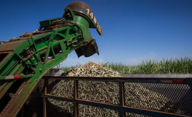 Preços do etanol e do açúcar caem com o avanço da nova safra de cana