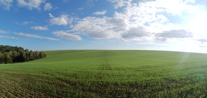 Syngenta e Harven ampliam formação em bioinsumos no agro