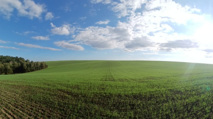 Syngenta e Harven ampliam formação em bioinsumos no agro