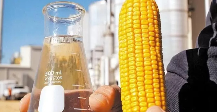 Imagem: reprodução/Agroadvance