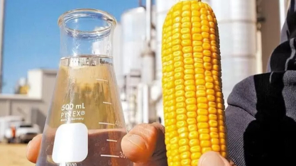 Etanol de milho avança no Brasil e transforma excedente agrícola em energia e renda