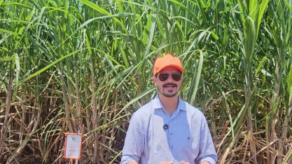 Mapeamento talhões de cana na Beggio Lorenzo Agropecuária permite análise comparativa de resultados