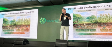 Pacote biológico pode elevar produtividade da cana em até 10%