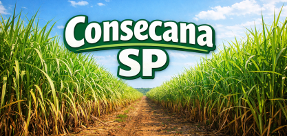 Consecana-SP publica revisão e garante adicional ao produtor