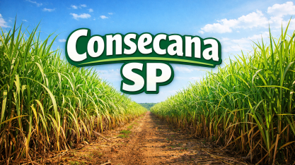 Consecana-SP publica revisão e garante adicional ao produtor