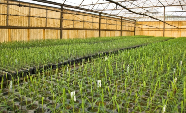 BNDES aprova R$ 84 milhões para projetos do CTC