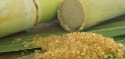 Açúcar recua 2% em Nova York com aumento das exportações na Índia