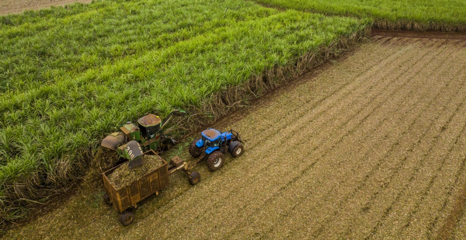 BASF Soluções para Agricultura leva à Agrishow 2026 diversas soluções, reforçando seu posicionamento como parceira estratégica do setor canavieiro (Foto: Divulgação BASF)
