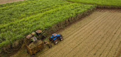 Canavial sob pressão exige tomada de decisão antes do primeiro desafio aparecer