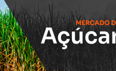 NY abaixo do custo de produção: a conta vai chegar