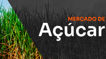 NY abaixo do custo de produção: a conta vai chegar