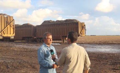 Usina Marituba lidera avanço da colheita mecanizada em Alagoas