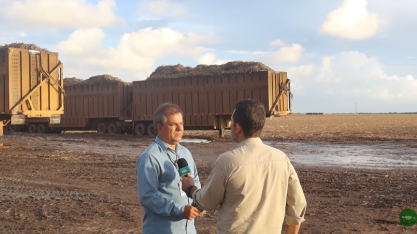 Usina Marituba lidera avanço da colheita mecanizada em Alagoas