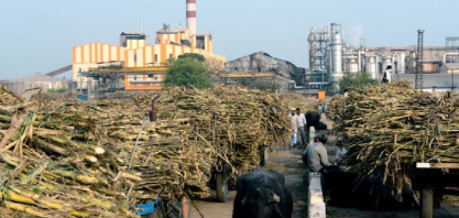 Índia descarta restrições às exportações de açúcar