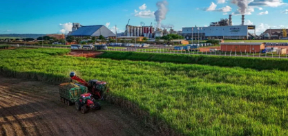 Do campo ao tanque: conheça a cadeia produtiva do etanol